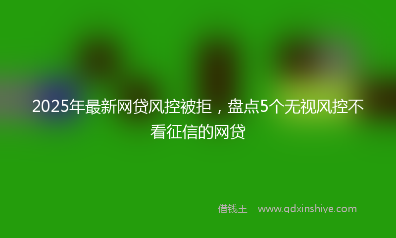 2025年最新网贷风控被拒，盘点5个无视风控不看征信的网贷