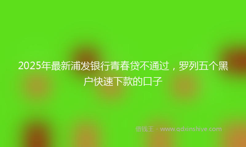 2025年最新浦发银行青春贷不通过，罗列五个黑户快速下款的口子
