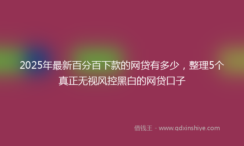 2025年最新百分百下款的网贷有多少，整理5个真正无视风控黑白的网贷口子