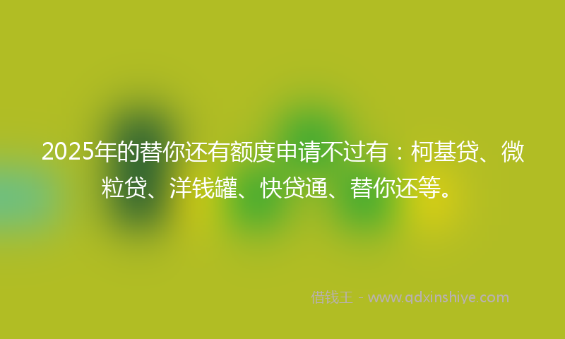 2025年的替你还有额度申请不过有：柯基贷、微粒贷、洋钱罐、快贷通、替你还等。