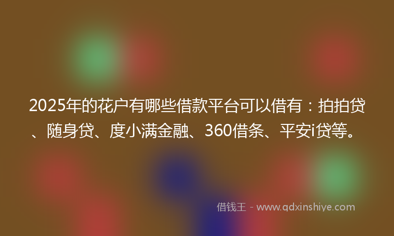 2025年的花户有哪些借款平台可以借有：拍拍贷、随身贷、度小满金融、360借条、平安i贷等。
