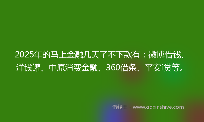 2025年的马上金融几天了不下款有：微博借钱、洋钱罐、中原消费金融、360借条、平安i贷等。