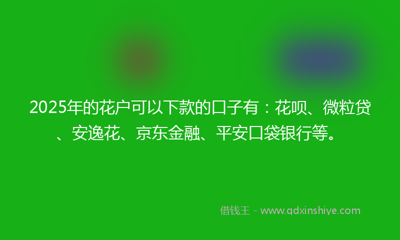 2025年的花户可以下款的口子有：花呗、微粒贷、安逸花、京东金融、平安口袋银行等。