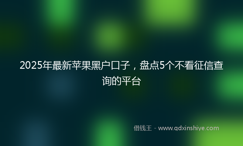 2025年最新苹果黑户口子，盘点5个不看征信查询的平台