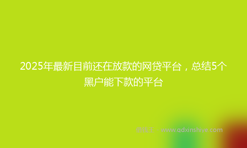 2025年最新目前还在放款的网贷平台，总结5个黑户能下款的平台