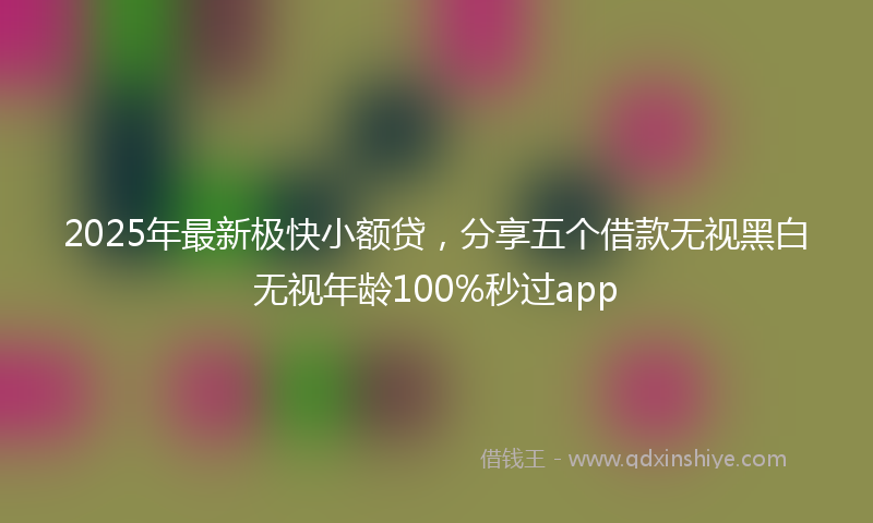 2025年最新极快小额贷，分享五个借款无视黑白无视年龄100%秒过app