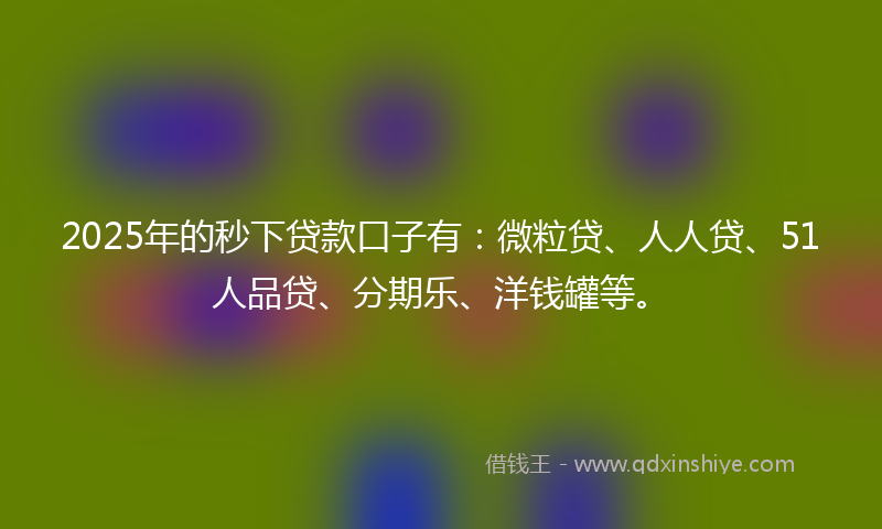 2025年的秒下贷款口子有：微粒贷、人人贷、51人品贷、分期乐、洋钱罐等。