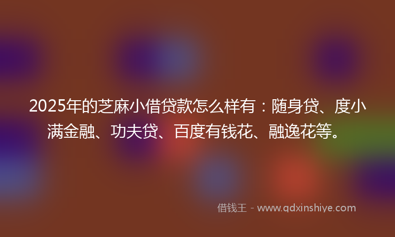 2025年的芝麻小借贷款怎么样有：随身贷、度小满金融、功夫贷、百度有钱花、融逸花等。