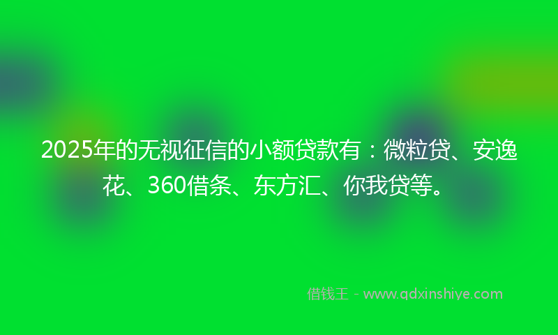 2025年的无视征信的小额贷款有：微粒贷、安逸花、360借条、东方汇、你我贷等。