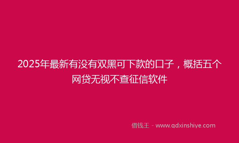 2025年最新有没有双黑可下款的口子，概括五个网贷无视不查征信软件