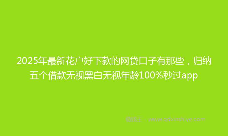2025年最新花户好下款的网贷口子有那些，归纳五个借款无视黑白无视年龄100%秒过app