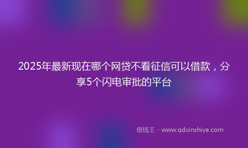 2025年最新现在哪个网贷不看征信可以借款，分享5个闪电审批的平台