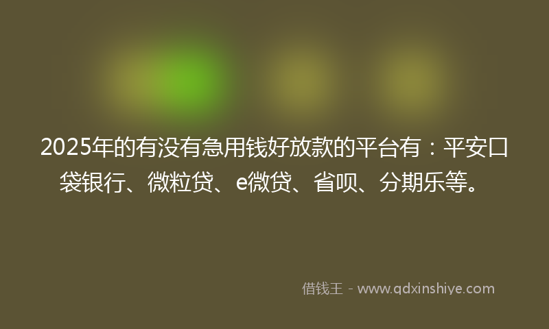 2025年的有没有急用钱好放款的平台有：平安口袋银行、微粒贷、e微贷、省呗、分期乐等。