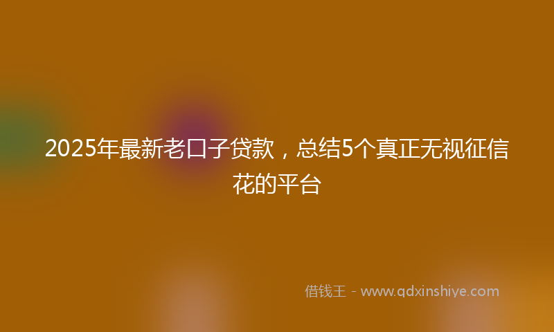2025年最新老口子贷款,总结5个真正无视征信花的平台