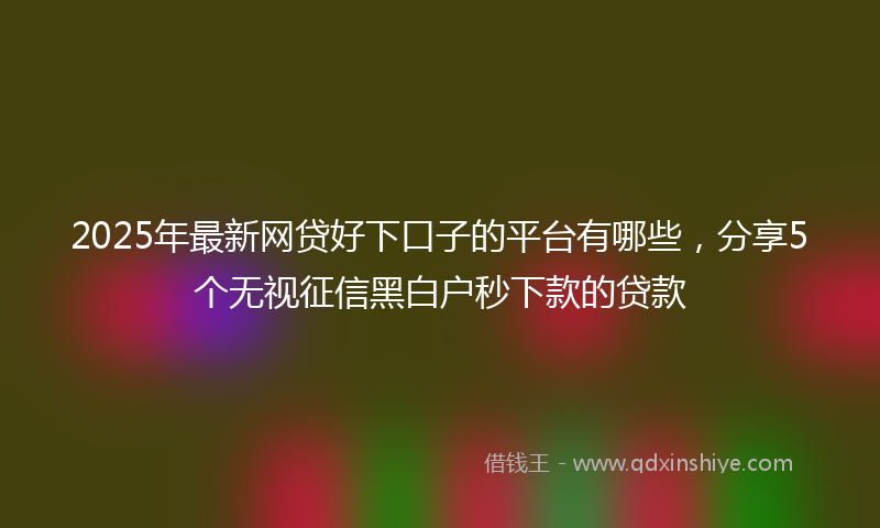 2025年最新网贷好下口子的平台有哪些，分享5个无视征信黑白户秒下款的贷款