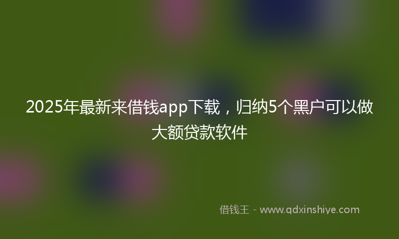 2025年最新来借钱app下载，归纳5个黑户可以做大额贷款软件