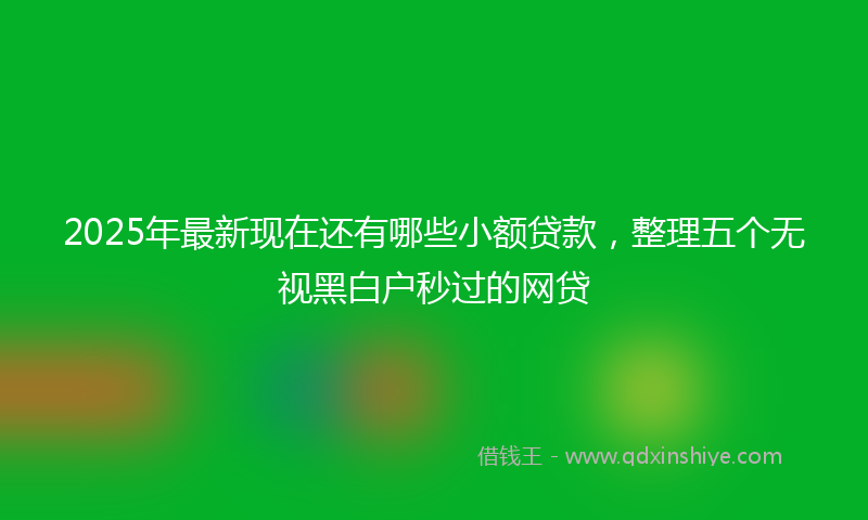 2025年最新现在还有哪些小额贷款，整理五个无视黑白户秒过的网贷