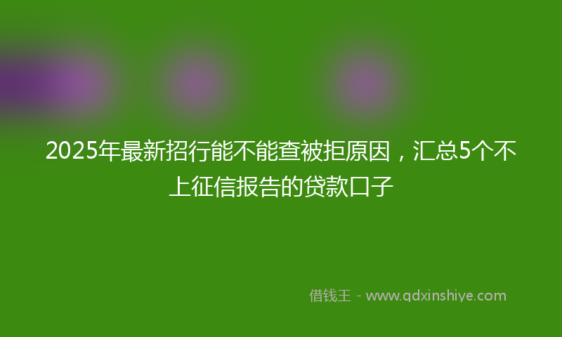 2025年最新招行能不能查被拒原因，汇总5个不上征信报告的贷款口子