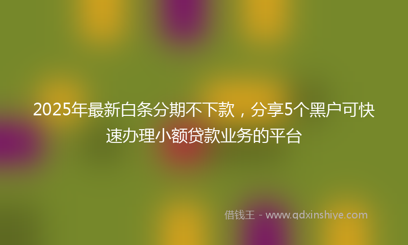 2025年最新白条分期不下款，分享5个黑户可快速办理小额贷款业务的平台