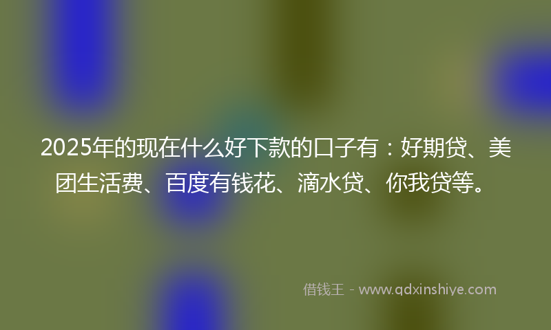 2025年的现在什么好下款的口子有：好期贷、美团生活费、百度有钱花、滴水贷、你我贷等。