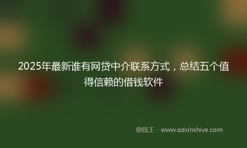2025年最新谁有网贷中介联系方式，总结五个值得信赖的借钱软件