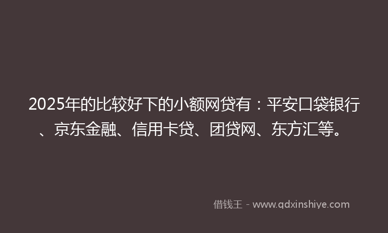2025年的比较好下的小额网贷有：平安口袋银行、京东金融、信用卡贷、团贷网、东方汇等。