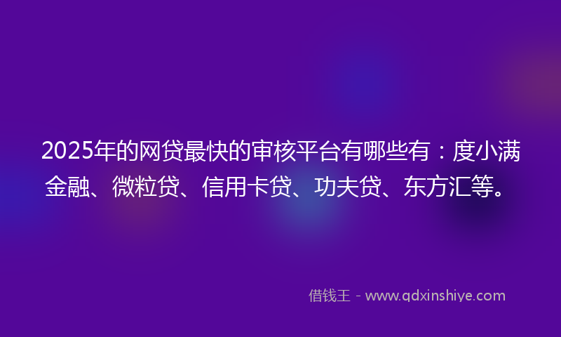 2025年的网贷最快的审核平台有哪些有：度小满金融、微粒贷、信用卡贷、功夫贷、东方汇等。