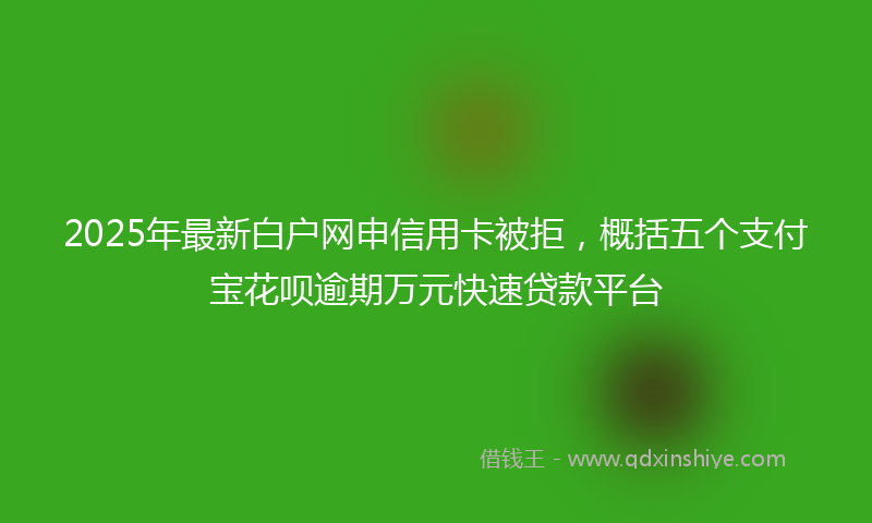2025年最新白户网申信用卡被拒，概括五个支付宝花呗逾期万元快速贷款平台