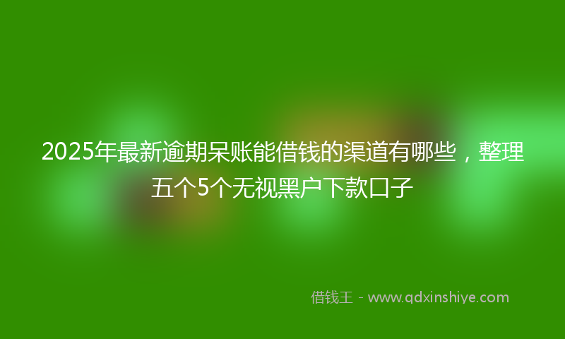 2025年最新逾期呆账能借钱的渠道有哪些，整理五个5个无视黑户下款口子