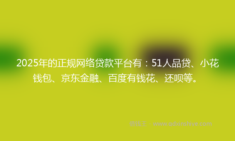2025年的正规网络贷款平台有：51人品贷、小花钱包、京东金融、百度有钱花、还呗等。