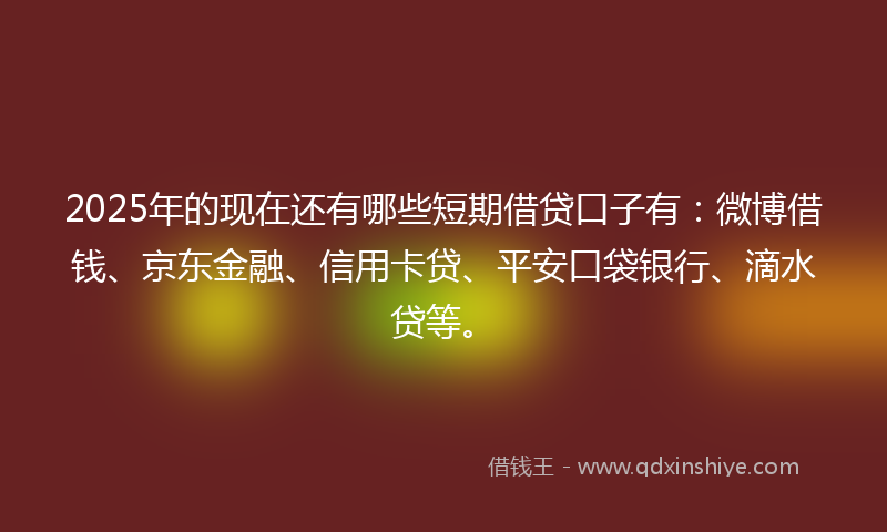 2025年的现在还有哪些短期借贷口子有：微博借钱、京东金融、信用卡贷、平安口袋银行、滴水贷等。