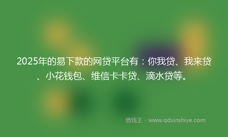 2025年的易下款的网贷平台有：你我贷、我来贷、小花钱包、维信卡卡贷、滴水贷等。