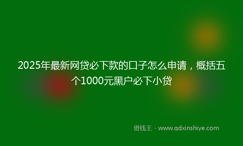 2025年最新网贷必下款的口子怎么申请，概括五个1000元黑户必下小贷