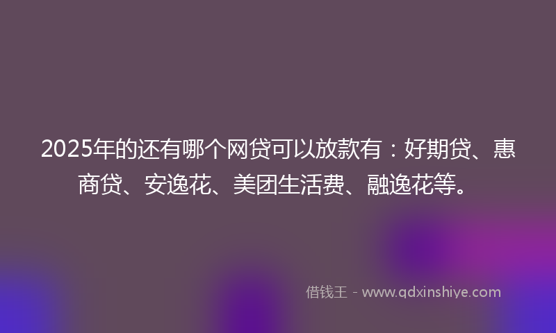 2025年的还有哪个网贷可以放款有：好期贷、惠商贷、安逸花、美团生活费、融逸花等。