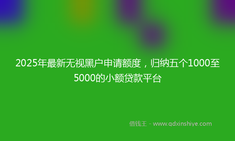 2025年最新无视黑户申请额度，归纳五个1000至5000的小额贷款平台