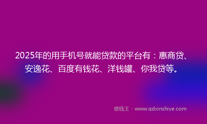 2025年的用手机号就能贷款的平台有：惠商贷、安逸花、百度有钱花、洋钱罐、你我贷等。