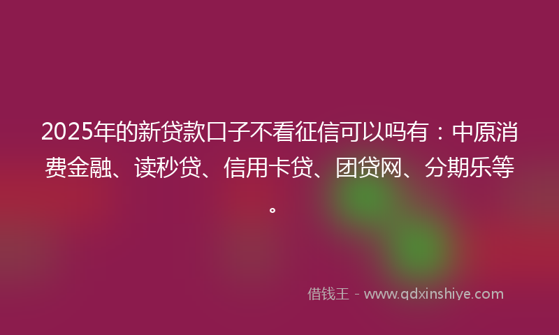 2025年的新贷款口子不看征信可以吗有：中原消费金融、读秒贷、信用卡贷、团贷网、分期乐等。
