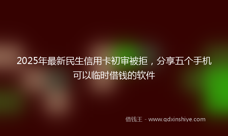 2025年最新民生信用卡初审被拒，分享五个手机可以临时借钱的软件