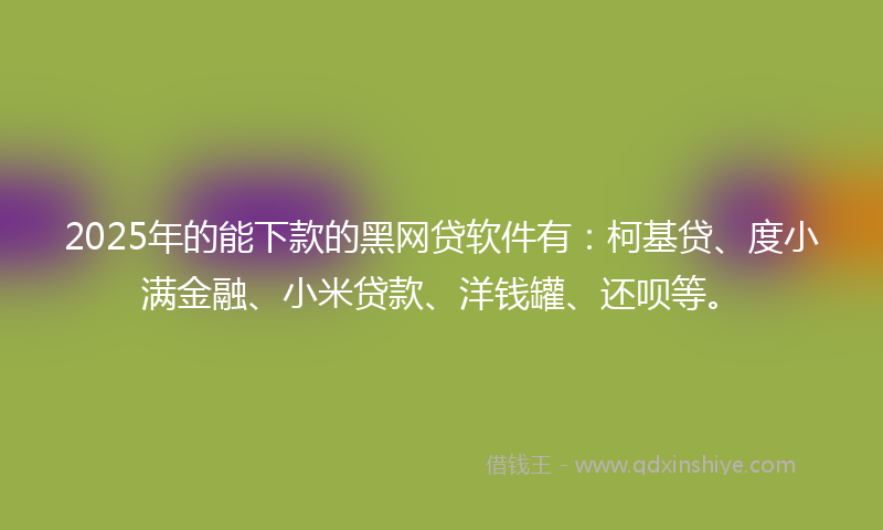 2025年的能下款的黑网贷软件有：柯基贷、度小满金融、小米贷款、洋钱罐、还呗等。