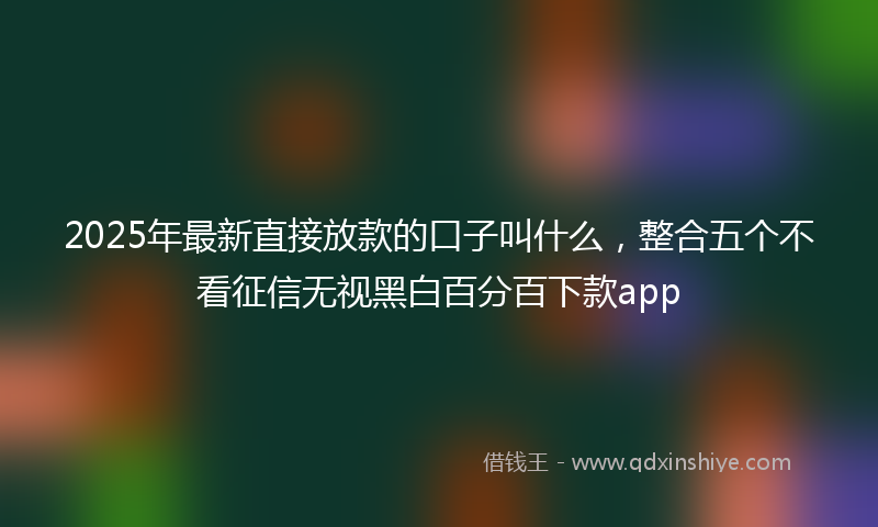 2025年最新直接放款的口子叫什么，整合五个不看征信无视黑白百分百下款app