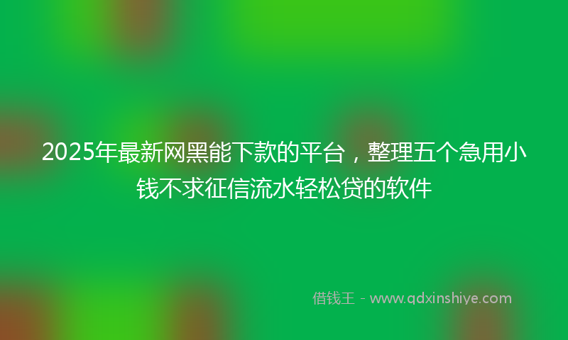 2025年最新网黑能下款的平台，整理五个急用小钱不求征信流水轻松贷的软件