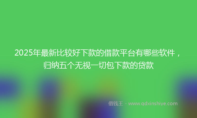 2025年最新比较好下款的借款平台有哪些软件，归纳五个无视一切包下款的贷款