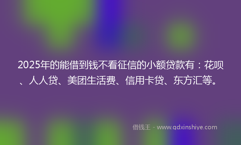 2025年的能借到钱不看征信的小额贷款有：花呗、人人贷、美团生活费、信用卡贷、东方汇等。