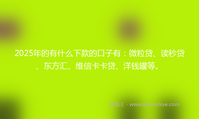 2025年的有什么下款的口子有：微粒贷、读秒贷、东方汇、维信卡卡贷、洋钱罐等。