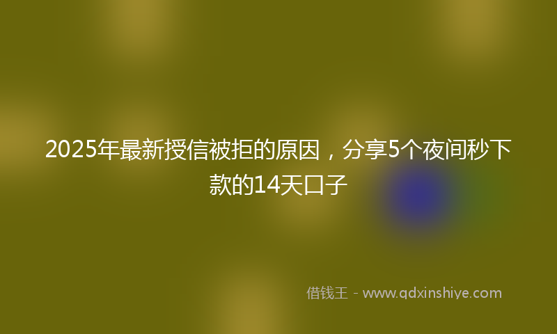 2025年最新授信被拒的原因，分享5个夜间秒下款的14天口子