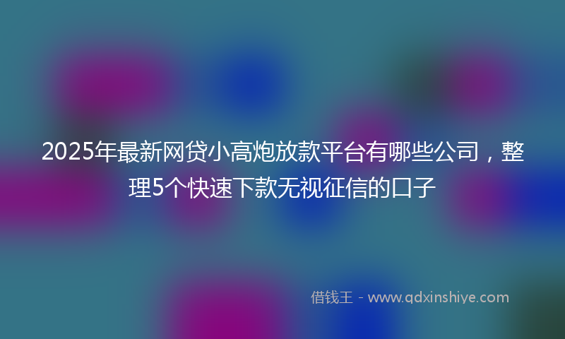 2025年最新网贷小高炮放款平台有哪些公司，整理5个快速下款无视征信的口子