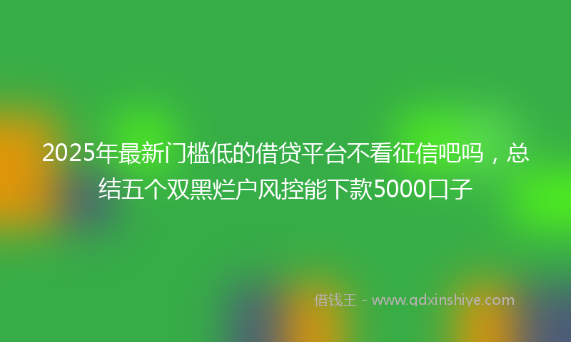 2025年最新门槛低的借贷平台不看征信吧吗，总结五个双黑烂户风控能下款5000口子