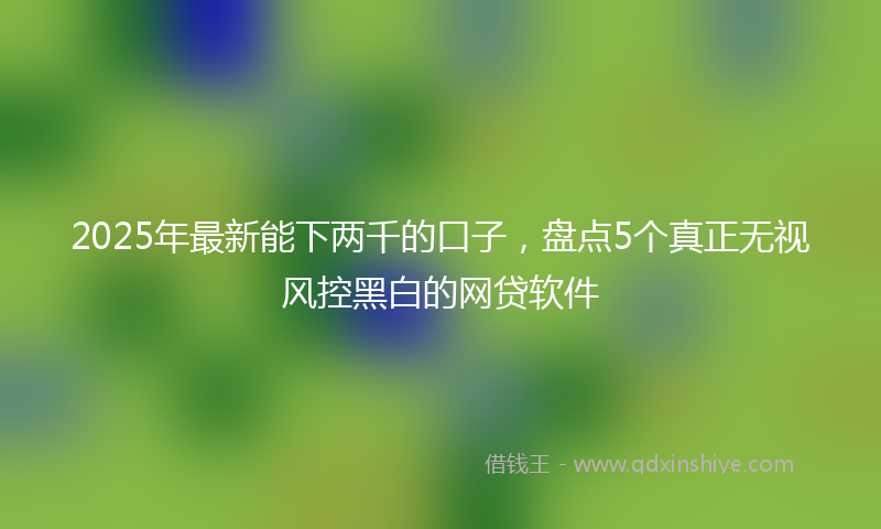2025年最新能下两千的口子，盘点5个真正无视风控黑白的网贷软件