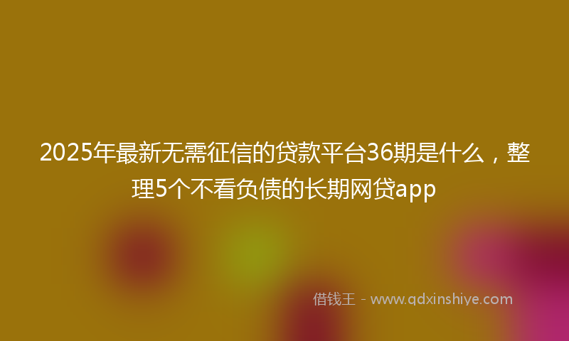 2025年最新无需征信的贷款平台36期是什么，整理5个不看负债的长期网贷app