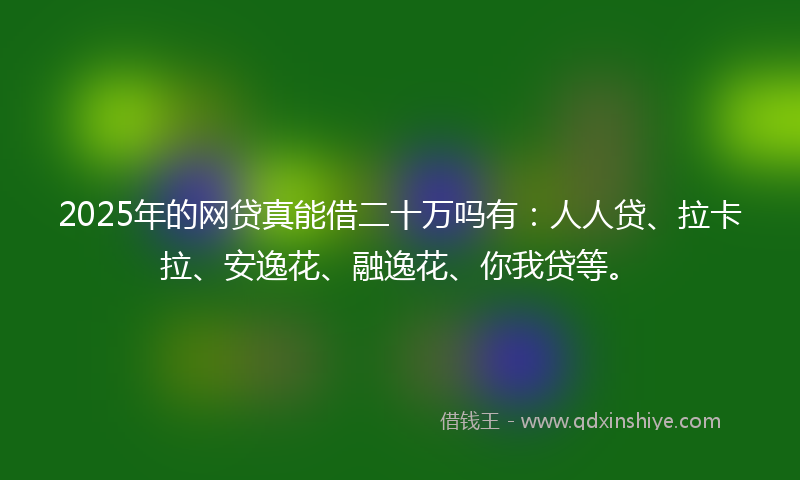 2025年的网贷真能借二十万吗有：人人贷、拉卡拉、安逸花、融逸花、你我贷等。
